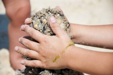 Küçük çocuk el parmak inşaatı kuleden kum ve deniz plaj kabukları ile yaz güneşli bir günde açık dokunmadan