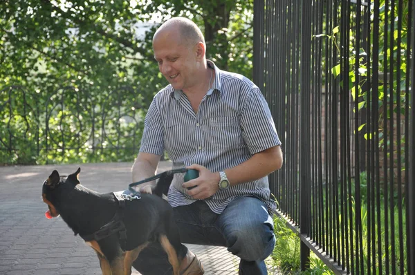 handsome bald man with smiling face near iron fence with beautiful cute black and brown dog pet friend outdoor in summer on green sunny day