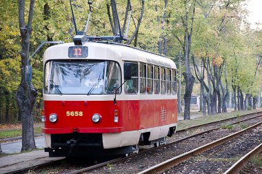 Pushcha Voditsa, Ukrayna - 02 Ekim 2016: Toplu ulaşım tramvay kırmızı renk demiryolu parça açık yeşil sonbahar derin orman içinde doğal zemin üzerine