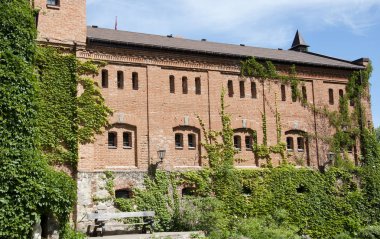 Eski Dünya itiraz ekleme. Taş duvara yaz aylarında büyüyen sarmaşıklar. Eski evin dış yeşil dağcı ile. Mimari ve doğa. Ev inşa Ivy ile kaplı. Sarmaşık bitki tırmanma tuğla duvar.