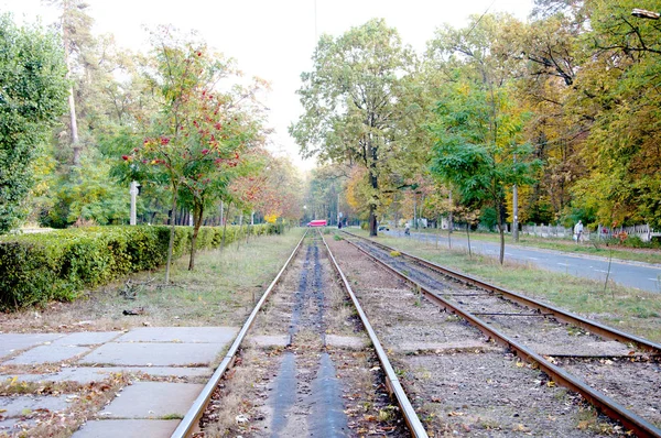 Transporte Público Camino Vacío Vía Férrea Tranvía Aire Libre Verde — Foto de Stock