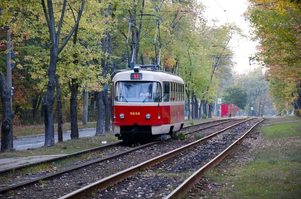 Pushcha Voditsa Oekraïne Oktober 2016 Openbaar Vervoer Van Tram Rode — Stockfoto