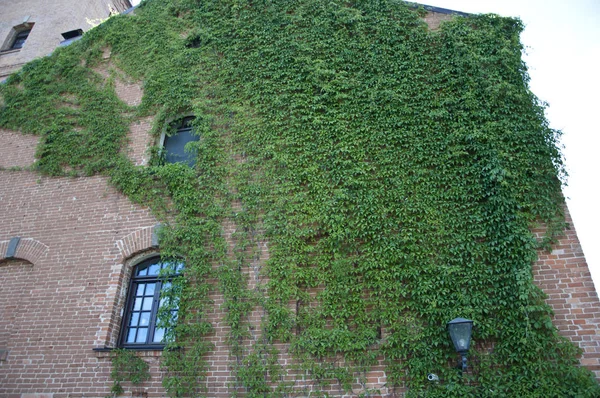 Het Toevoegen Van Natuurlijke Schoonheid Steen Huis Gebouw Bedekt Met — Stockfoto