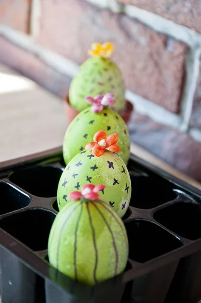 Easter egg. Green life. Flower shop. Happy easter. natural dye. Spring seedlings. Greenhouse. Cactus blossom. DIY and handmade. Painted egg. Egg hunt. Cooking. Unusual idea. Respecting ecology — Stock Photo, Image