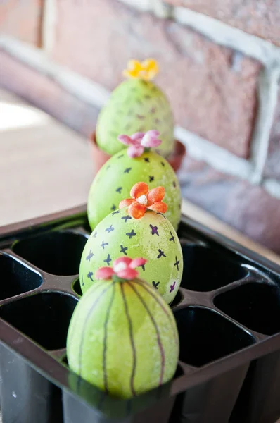 Egg hunt. Cooking. Unusual idea. Spring seedlings. Greenhouse. Cactus blossom. DIY and handmade. Painted egg. Happy easter. natural dye. Easter egg. Green life. Flower shop. Thinking of ecology — Stock Photo, Image
