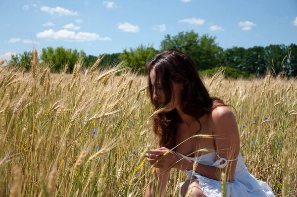 Kobieta Ciesząca Się Naturą Łące Sexy Dziewczyna Zbierać Dzikie Kwiaty — Zdjęcie stockowe