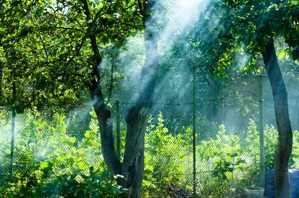 Sun Rays Smoke Picnic Vacation Holiday Summer Cottage Dacha Making — Stock Photo, Image