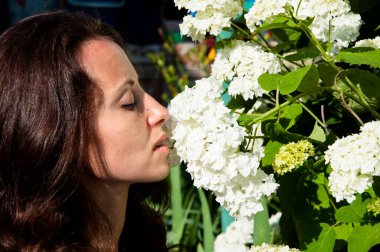 Sağlıklı ve temiz ciltli güzel bir kadının yüzü. Yaz sezonu. Seksi dudaklı, modaya uygun bir modelin portresi. Güzel ortancalı seksi kadın dudakları. Çiçekli Moda Seksi Kadın.