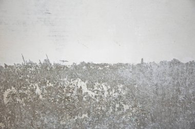 Yarı eski püskü duvar. Beyazlatılmış beton duvar. Grange arka planı. Kopyalama alanı için yer. İnşaat ve onarım. bina.