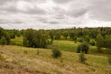 Vadisi olan bir dağ manzarası. Bulutlu gökyüzü ile dağlık bir manzara. Yeşil Tepe Dağı manzaralı. Vahşi dağda, orman ve yeşil vadiyle nefes kesici bir yaz günü. Tepe ve dağ.