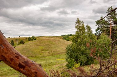 Yeşil Tepe Dağı manzaralı. Vahşi dağda, orman ve yeşil vadiyle nefes kesici bir yaz günü. Vadisi olan bir dağ manzarası. Bulutlu gökyüzü ile dağlık bir manzara. Vahşi doğa..