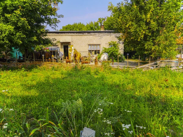 Yeşil çim alan ata grubu. Zaporozhye, Ukarine, 22 Ağustos 2018.