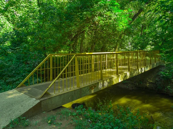 Puente Parque Zaporozhye Ucrania Agosto 2018 —  Fotos de Stock
