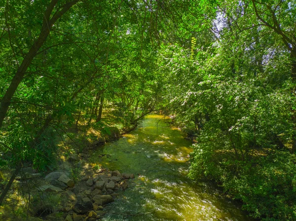 Fluss Und Waldbäume Siegespark Saporozhye Ukraine August 2018 — Stockfoto