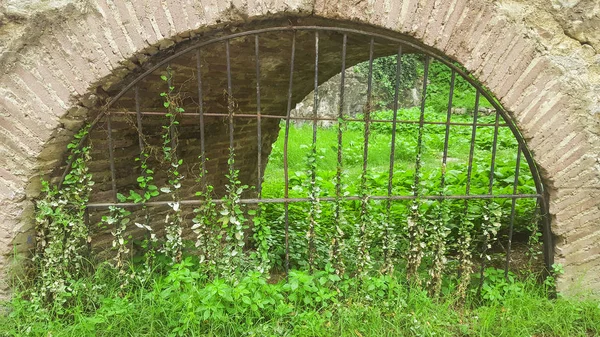 Iron gate bitkilerle sarılmış. Istanbul, Türkiye, 17 Ekim 2015. 