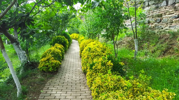 Çim ve ağaçların Park Bahçe taş yolu. 03 Ekim 2015.