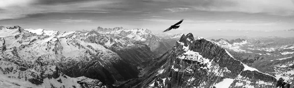 Dağ, kar, kış, gökyüzü, manzara, bulut, doğa, kartal, sinek, Berg, Schnee, Kış, Himmel, Peyzaj, Wolke, Natur, Adler, Fliegen,