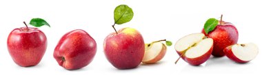 Taze meyve, beyaz arka planda elma karışımı. Frische Frchte, Apfelmischung auf weiem Hintergrund... kırmızı, yalıtılmış, elma, beyaz, meyve, sulu, taze, vejetaryen, vitamin, çürük, isoliert, apfel, wei, frucht, saftig, frisch, vejetaryen.,