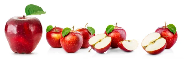 Taze meyve, beyaz arka planda elma karışımı. Frische Frchte, Apfelmischung auf weiem Hintergrund... kırmızı, yalıtılmış, elma, beyaz, meyve, sulu, taze, vejetaryen, vitamin, çürük, isoliert, apfel, wei, frucht, saftig, frisch, vejetaryen.,