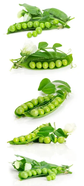yeşil, yemek, sebze, karantina, bezelye, beyaz, taze, sağlıklı, baklagil, grn, Lebensmittel, Gemse, isoliert, Erbse, wei, frisch, gesund, Hlsenfrchte,