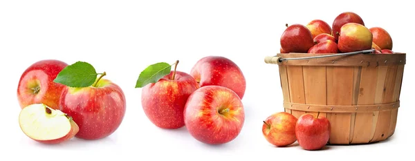 Frutas Frescas Mistura Maçã Fundo Branco Frische Frchte Apfelmischung Auf Imagens Royalty-Free