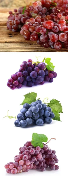 Üzüm, üzüm bağı, üzüm, üzüm, meyve, şarap, Traube, Weinberg, Trauben, Weinstock, Obst, Wein,