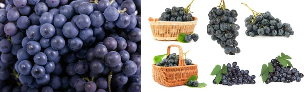 Üzüm, üzüm bağı, üzüm, üzüm, meyve, şarap, Traube, Weinberg, Trauben, Weinstock, Obst, Wein,