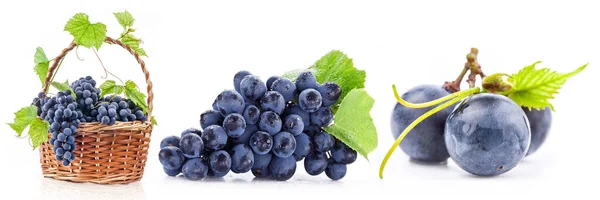 Üzüm, üzüm bağı, üzüm, üzüm, meyve, şarap, Traube, Weinberg, Trauben, Weinstock, Obst, Wein,