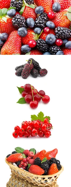 meyve, yiyecek, meyve, ahududu, ahududu, böğürtlen, böğürtlen, böğürtlen, kırmızı, sağlıklı, taze, tatlı Obst, Lebensmittel, Beeren, Beeren, Himbeere, Brombeere, Erdbeere, Blaubeere, rot, gesund, frisch