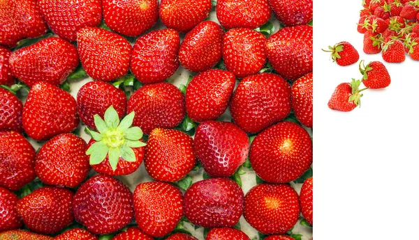 Morangos Vermelhos Saudáveis Doces Sobre Fundo Branco Erdbeeren Rote Gesunde — Fotografia de Stock