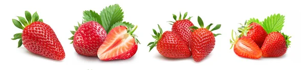 Földieper Vörös Egészséges Édes Szamóca Fehér Alapon Erdbeeren Rote Gesunde — Stock Fotó