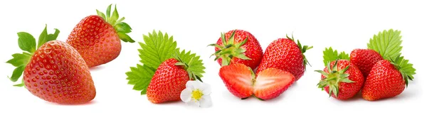 Fraises Rouge Fraises Saines Sucrées Sur Fond Blanc Erdbeeren Rote — Photo