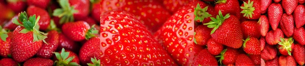 白の背景にイチゴ 健康的で甘いイチゴ Erdbeeren Gesunde Und Erdbeeren Auf Weiem Hintergrund イチゴ — ストック写真