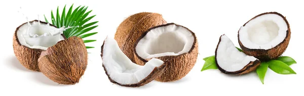 Taze meyve, beyaz arka planda hindistan cevizi karışımı. Frisches Obst, Kokosmischung auf weiem Hintergrund..
