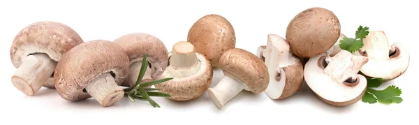 Mantar, ayrı ayrı, beyaz, taze, sebze, sağlıklı ve mantar. Pilze, Lebensmittel einzeln, wei, frisch, Gemse, gesund Pilz auf weiem Hintergrund