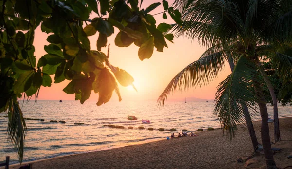 Gün batımında palmiye ağaçları ile plaj. Jomtien beach Tayland.