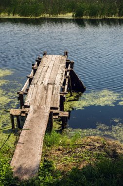 Ahşap köprü Nehri üzerinde. Lilyum ve sazlık. Manzara.