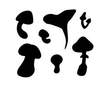 İzole edilmiş siluet mantar kümesi. Yenilemez ve yenmez mantarlar.