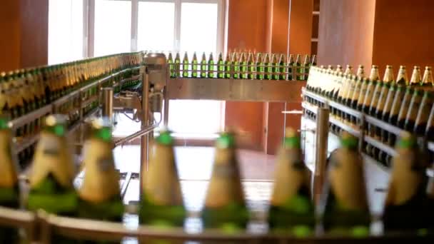 Un gran número de botellas de vidrio con cerveza se mueven a lo largo del transportador. Baja producción de alcohol. Las bebidas están listas para comer. Equipo de fábrica en el trabajo. El producto terminado se mueve a otra etapa. Fábrica — Vídeo de stock