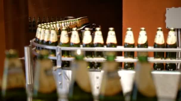 Large number of glass bottles with beer are moving along the conveyor. Low alcohol production. Drinks are ready to eat. Factory equipment at work. The finished product moves to another stage. Factory — Stock Video