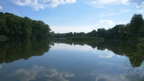 Uitzicht op de rivier met rieten langs de oevers waarvan er veel bomen zijn. Timelapse video. De lucht wordt weerspiegeld in het water. — Stockvideo