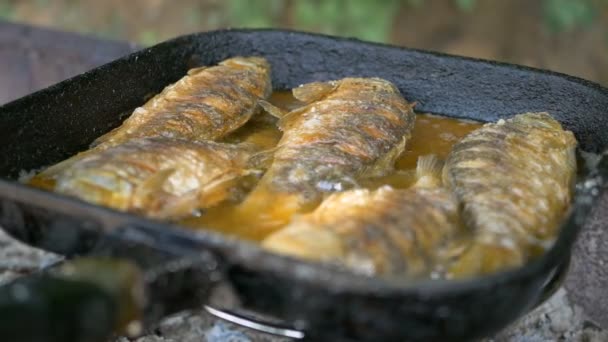 Cocinar el pescado en aceite en una sartén y asar. Freír pescado al aire libre. catering profesional. Deliciosa comida crujiente. Comida chatarra — Vídeos de Stock