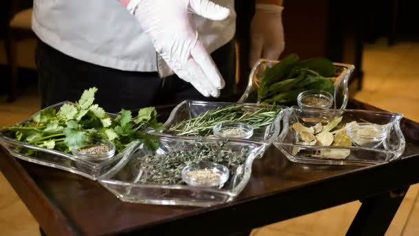 Chef profesional muestra una mano enguantada en varias hierbas para cocinar en el suelo y fresco. Comida saludable en cristalería transparente. Especias fragantes — Vídeos de Stock