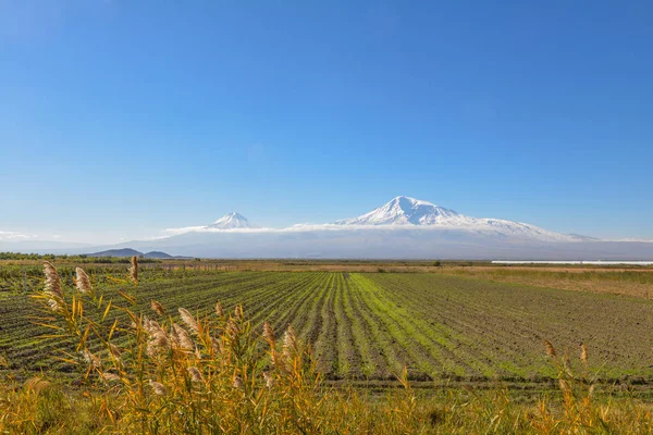 Ein Malerischer Blick Auf Mout Ararat Aus Armenien — Stockfoto