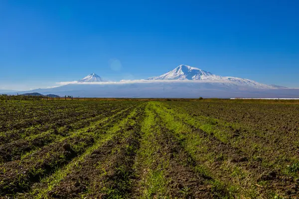 Ein Malerischer Blick Auf Mout Ararat Aus Armenien — Stockfoto