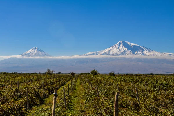 Ermenistan'dan Mout Ararat görünümünü