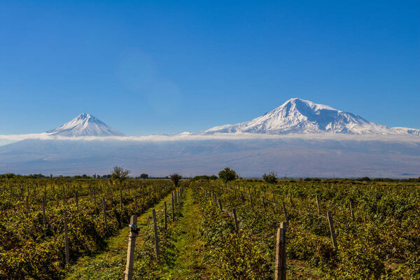  View of Mout Ararat from Armenia