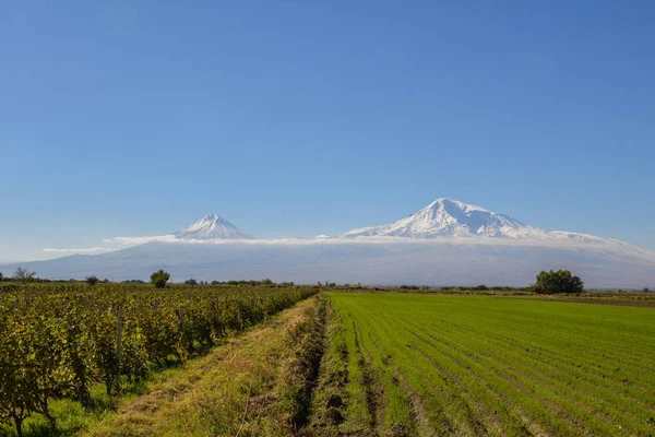 Vista Mout Ararat Desde Armenia — Foto de Stock