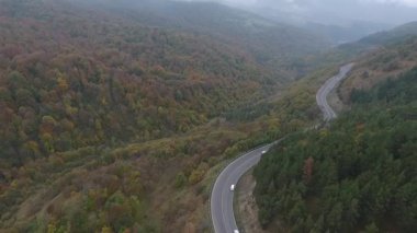 Yol ve ağaçları sonbaharda eğri havadan görünümü