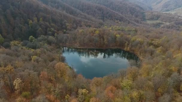 Vol Par Drone Dessus Lac Caché Gosh Dans Les Forêts — Video